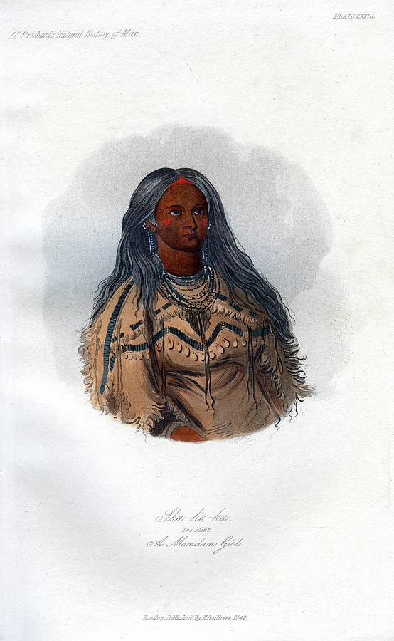 Sha-ko-ka, The Mint, A Mandan Girl Drawing by Print Collector
