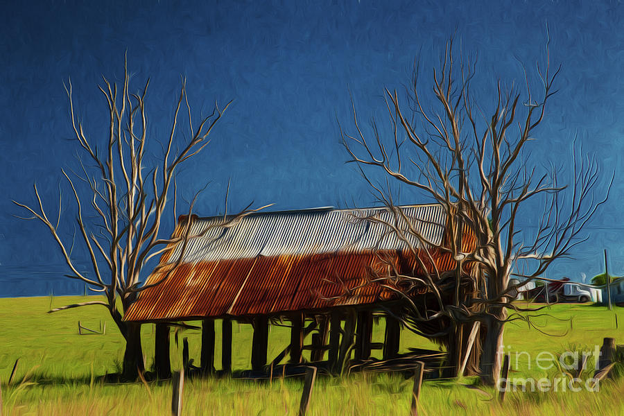Shack in rural landscape Photograph by Sheila Smart Fine Art Photography