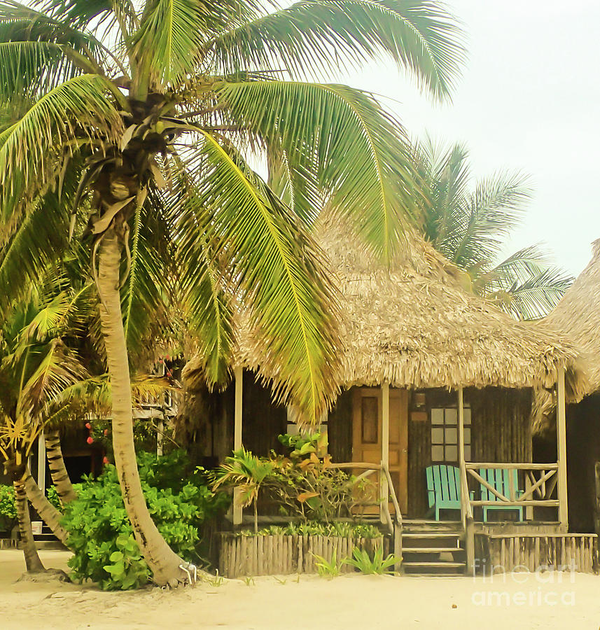 Shack on the Beach Photograph by Hope Cards