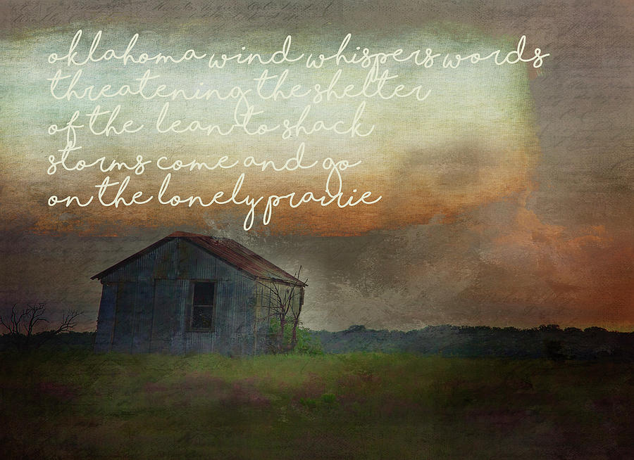 Landscape Photograph - Shack on the Lonely Prairie by Toni Hopper