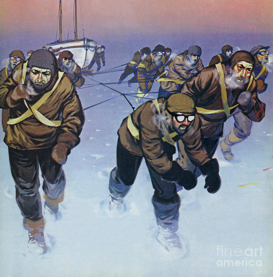Shackleton in the Antarctic  Painting by Angus McBride