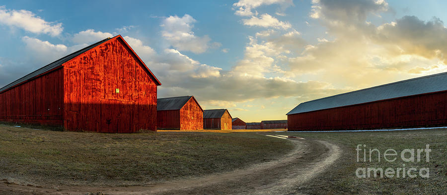 Shade Tobacco Farm, Windsor, Connecticut - New England Farm Panorama Photograph by JG Coleman