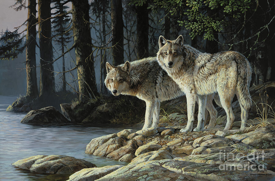 Wolves Painting - Shades Of Gray by Wild Wings
