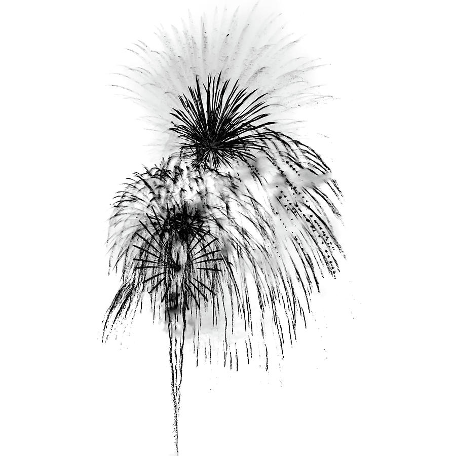 Australia Photograph - Shades of Grey Collection Set 07 by Az Jackson Australia Photograph - Shades of Grey Collection Set 07 by Az Jackson
