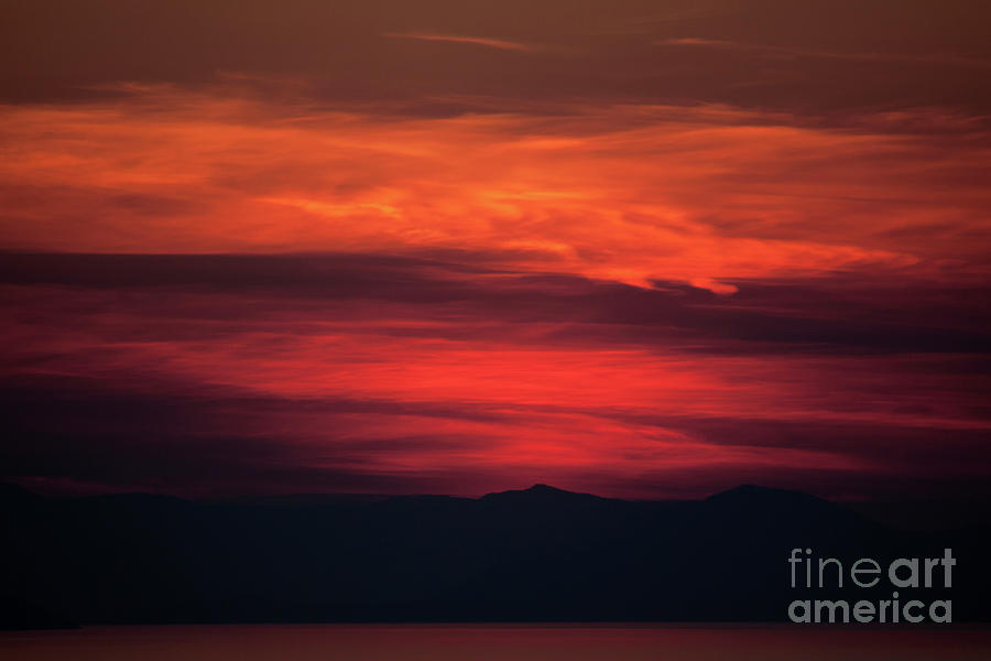 Shades of Red by Ana Mireles Shades of Red by Ana Mireles