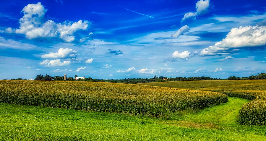 Shades Of Summer Photograph by Mountain Dreams - Fine Art America