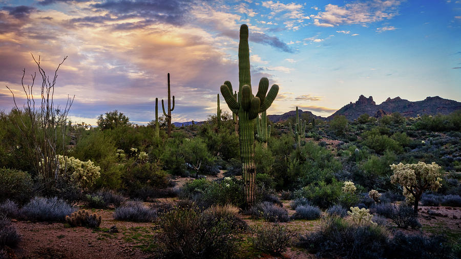 Shades Of Sunset In The Superstition Wilderness Photograph by Saija Lehtonen