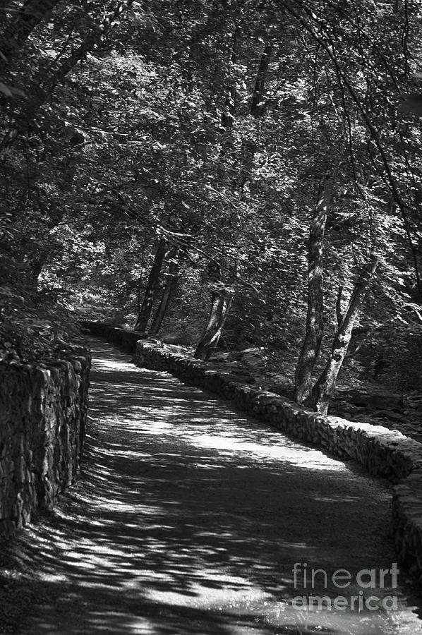 Shadow Abstract by Ruth H Curtis Shadow Abstract by Ruth H Curtis