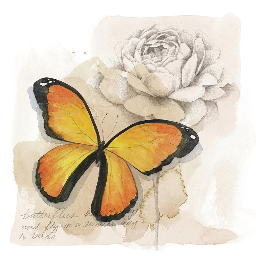 Butterfly with Flower Painting - Shadow Box Butterfly Iv by Grace Popp