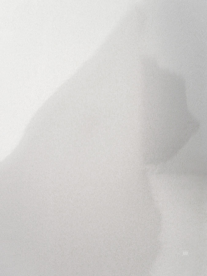 Shadow Cat Photograph by Menega Sabidussi