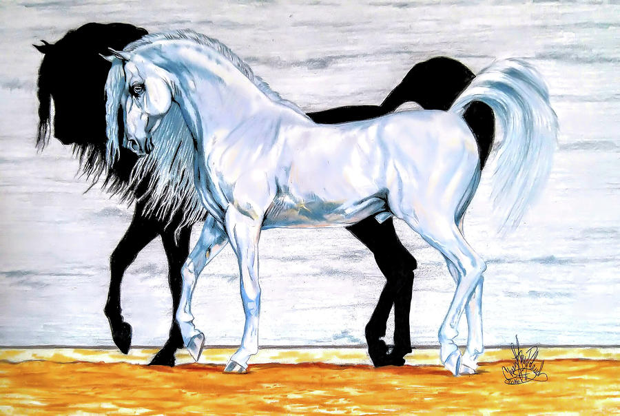Horse Drawing - Shadow Dancing by Cheryl Poland