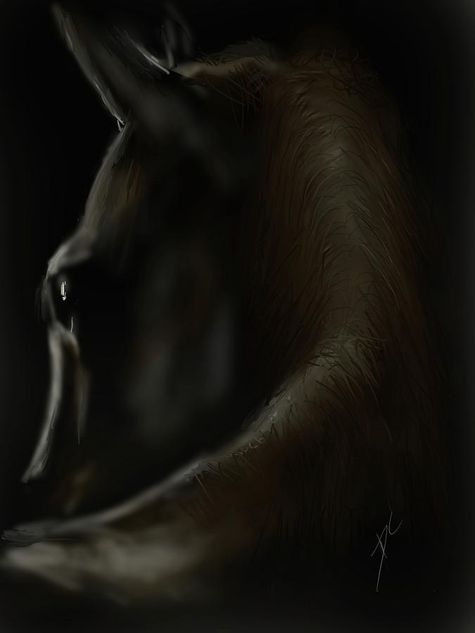 Shadow Horse Digital Art by Darren Cannell