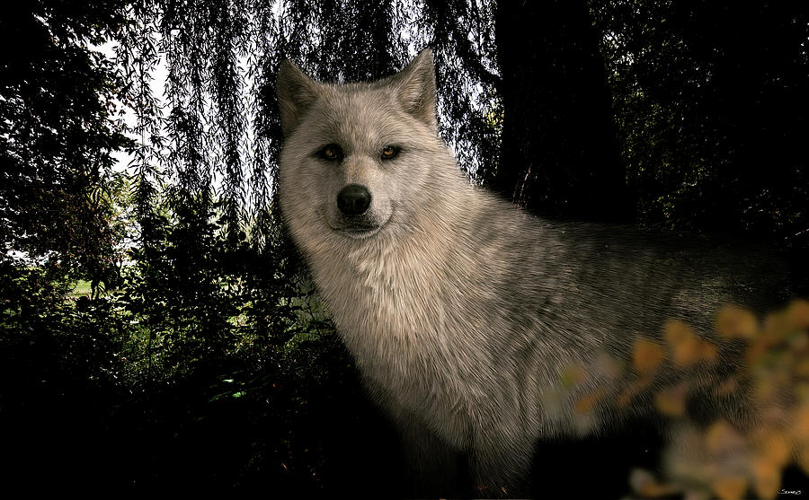 Wolves Photograph - Shadow Hunter by Gordon Semmens