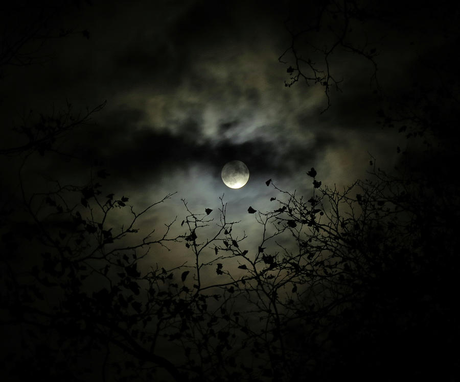 Shadow Moon Photograph by Linda Stern