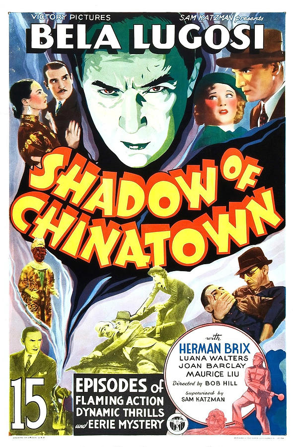Shadow of Chinatown Photograph by Victory Pictures
