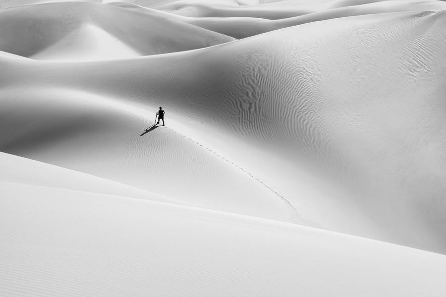 Shadow Of The Desert Photograph by Hamid Jamshidian | Fine Art America