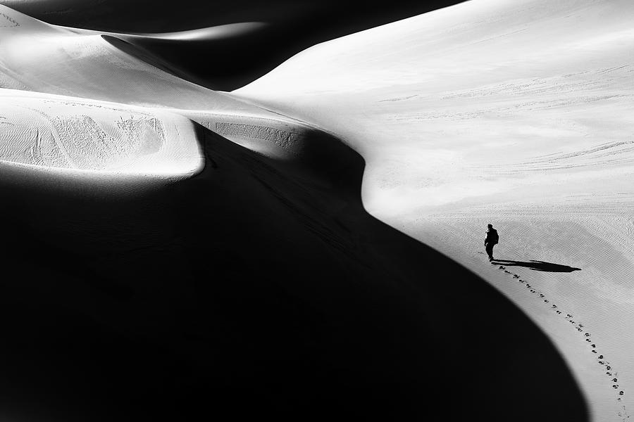 Shadow Of The Desert IIi Photograph by Hamid Jamshidian