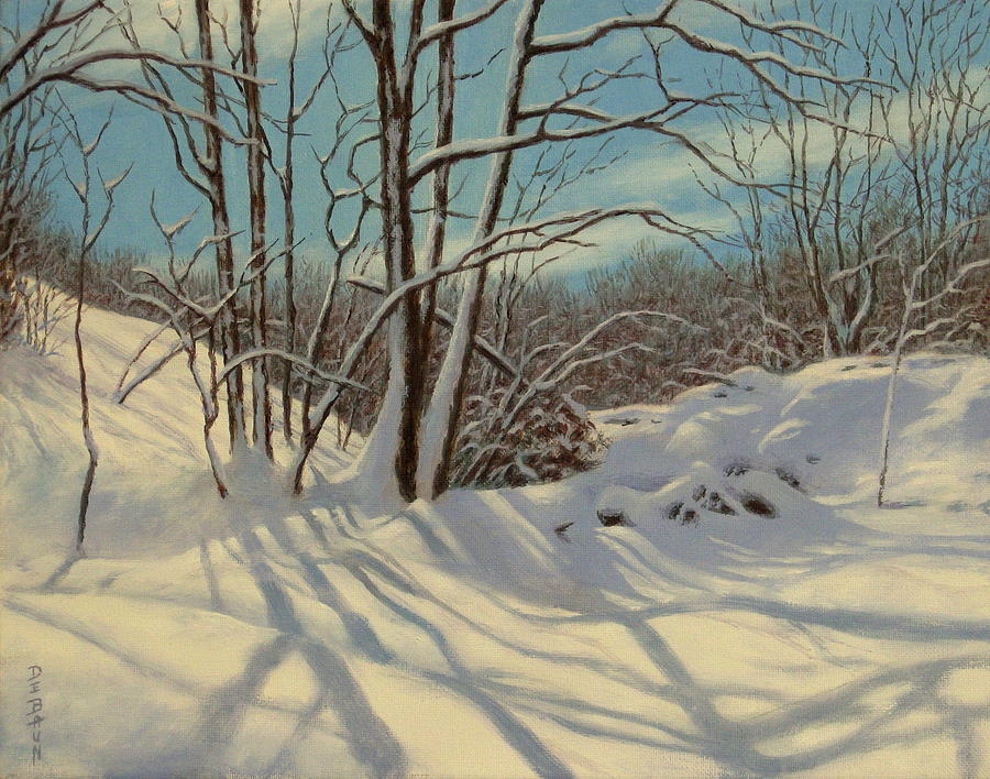 Winter Painting - Shadow Play by Barry DeBaun