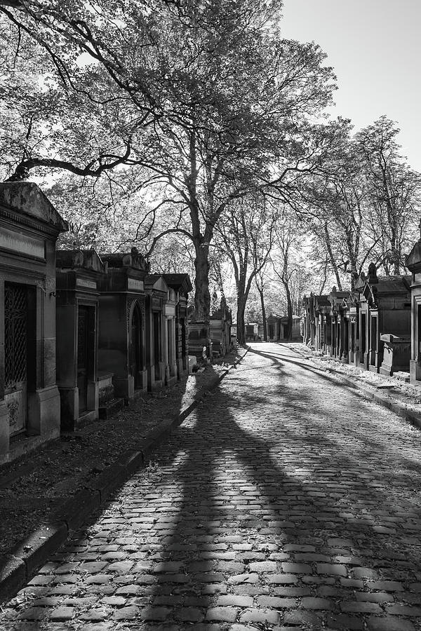 Shadows in Pere Lachaise Photograph by Liz Albro