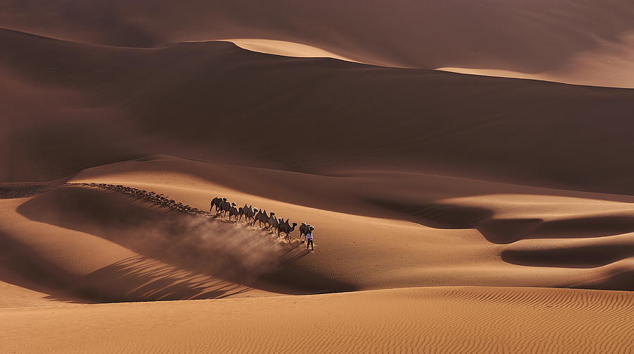 Shadows In The Desert Photograph by Mei Xu
