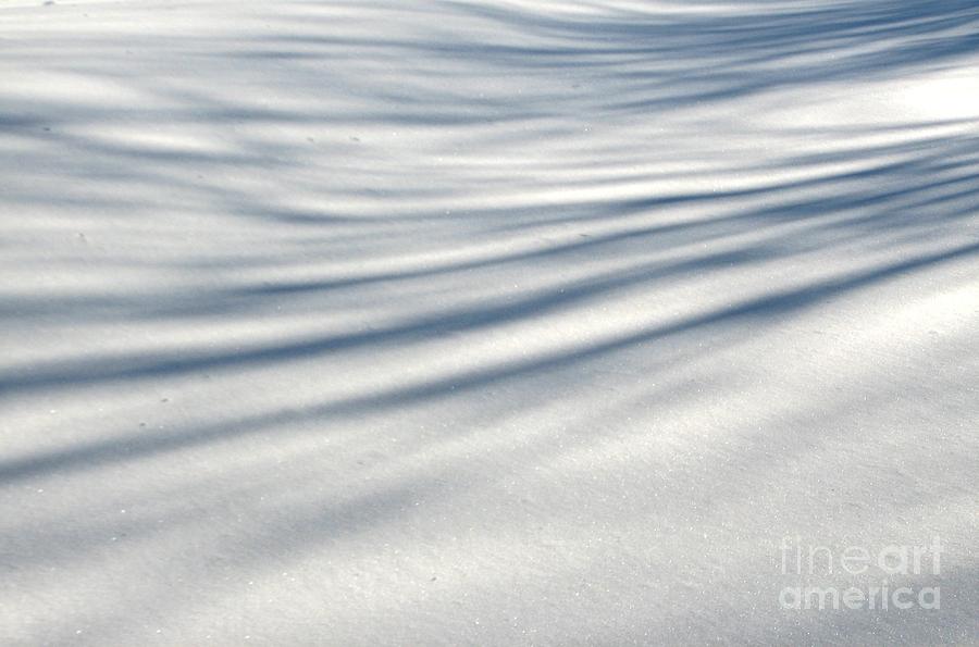 Shadows in the Snow Abstract by Artist4God Photograph by Rose Santuci-Sofranko