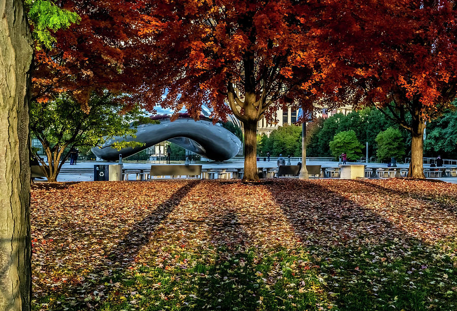 Fall Photograph - Shadows lead to fall colors and Chicagos bean  by Sven Brogren