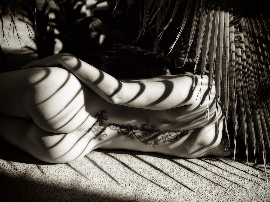 Nude Photograph - Shadows by Mel Brackstone