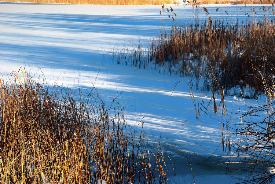Nature Photograph - Shadows Upon Snow Covered Pond by Anthony Paladino