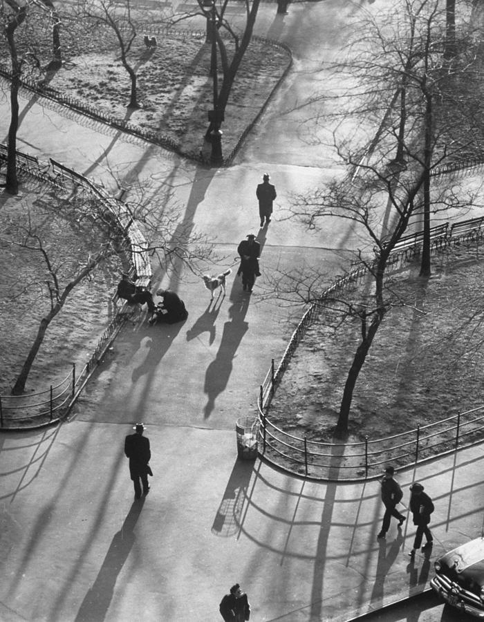 Shadows Photograph by Yale Joel Shadows Photograph by Yale Joel