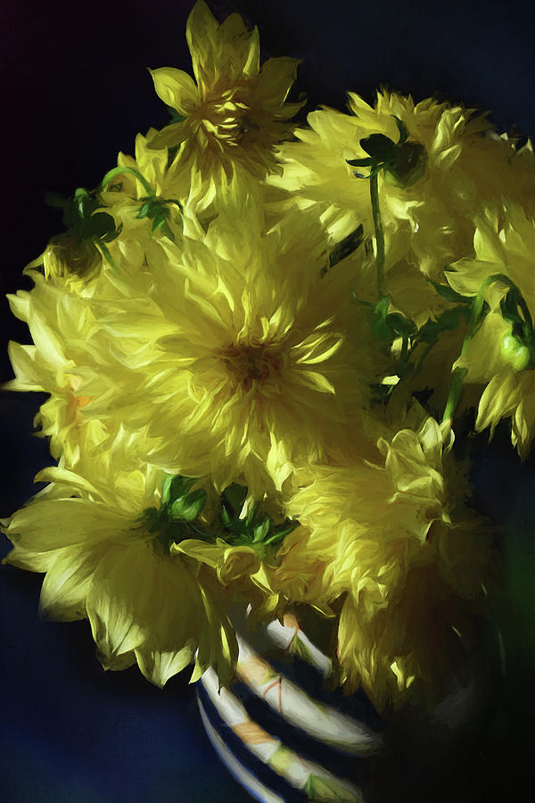 Shadowy Yellow Dahlias Photograph by Sherrie Triest