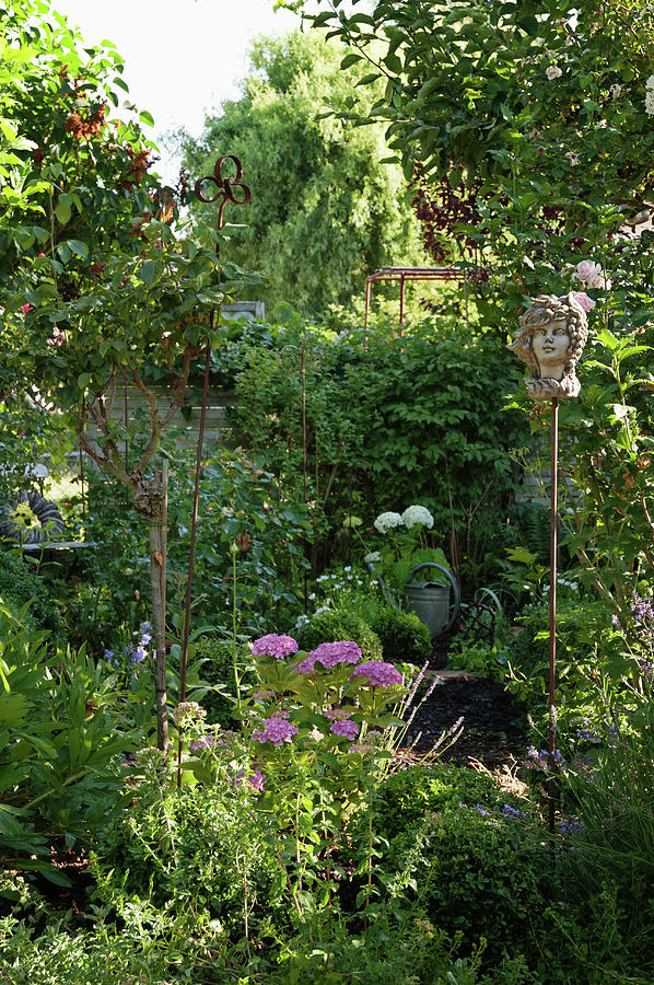 Shady Garden Corner With Hydrangeas Photograph by Gudrun Itt