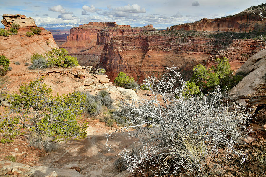 Shafer Canyon from The Neck in Canyonlands NP Photograph by Ray Mathis