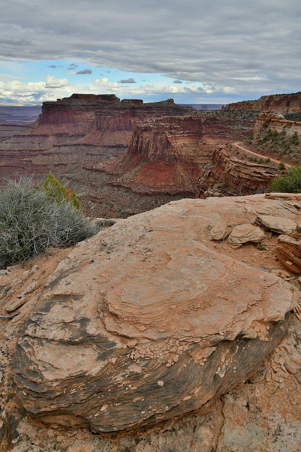 Shafer Canyon of Canyonlands National Park Photograph by Ray Mathis