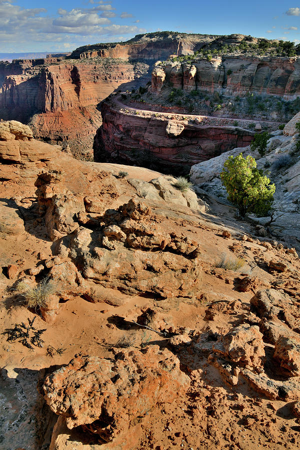 Shafer Trail Descending in Canyonlands NP Photograph by Ray Mathis