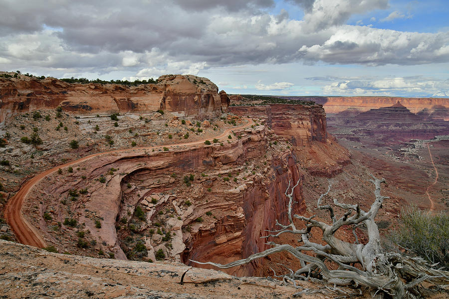 Shafer Trail in Shafer Canyon of Canyonlands NP Photograph by Ray Mathis