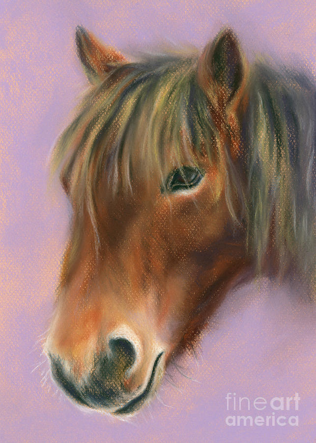 Shaggy Brown Pony Painting by MM Anderson