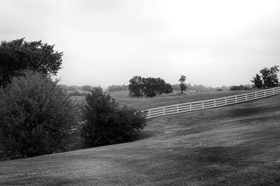 Shaker Field by Mark Jordan Shaker Field by Mark Jordan