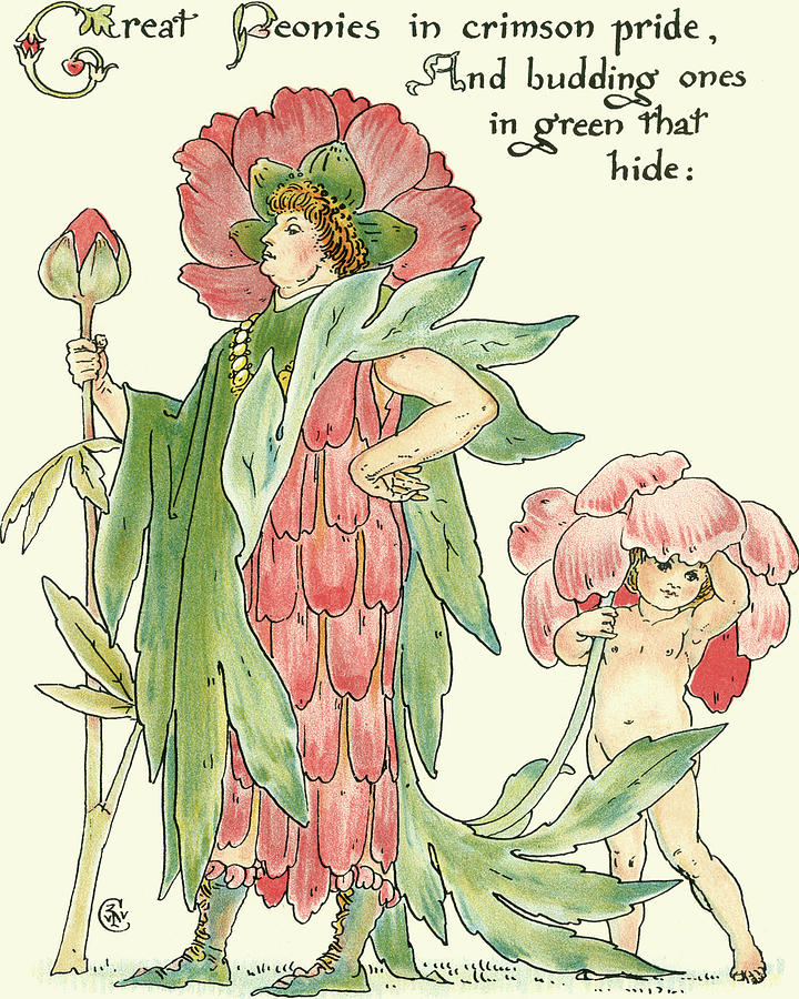 Flower Painting - Shakespeares Garden V (peony) by Walter Crane