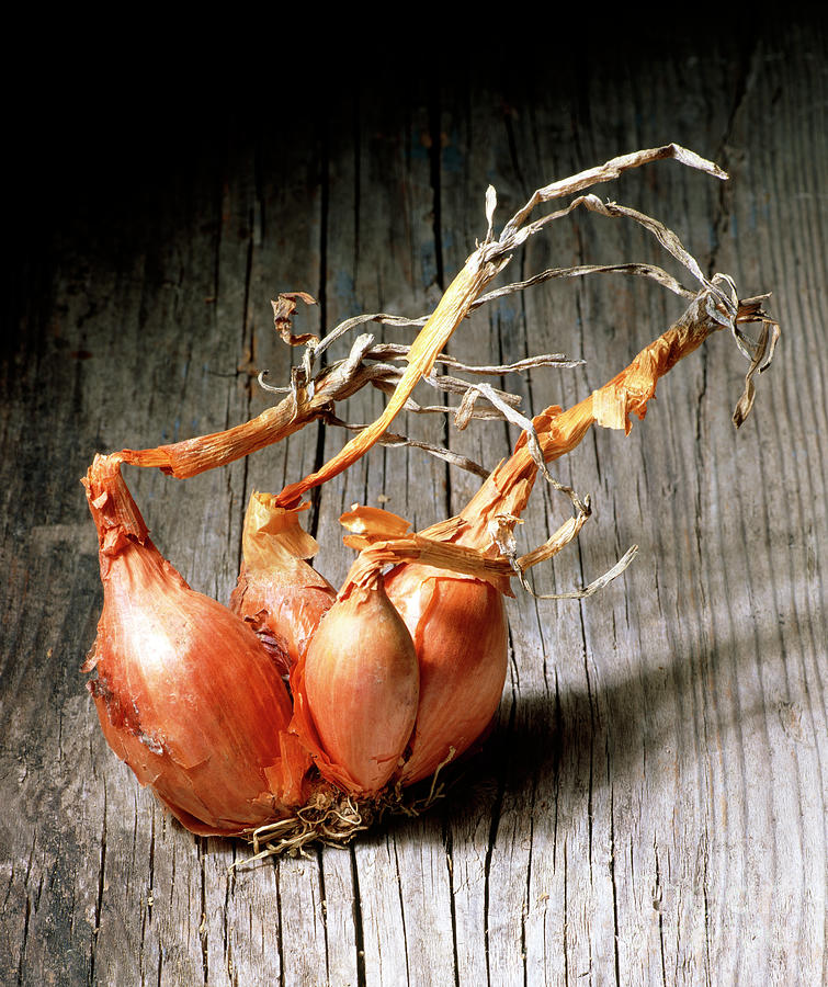 Shallots Photograph by Astrid & Hanns-frieder Michler/science Photo Library