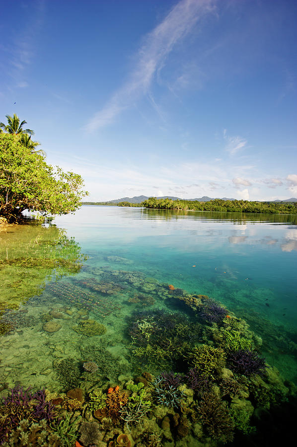 Shallow Sea With Coral, Islands And Sky Photograph by James Morgan