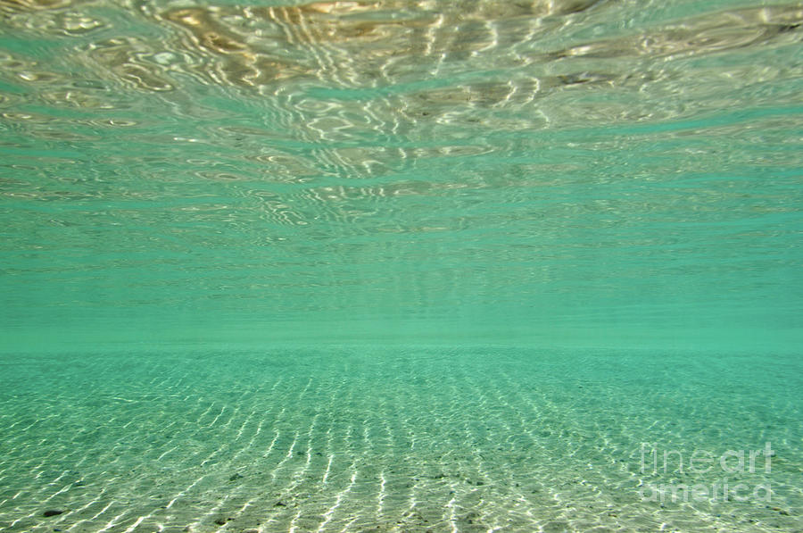 Shallow Water Background Photograph by Microgen Images/science Photo Library