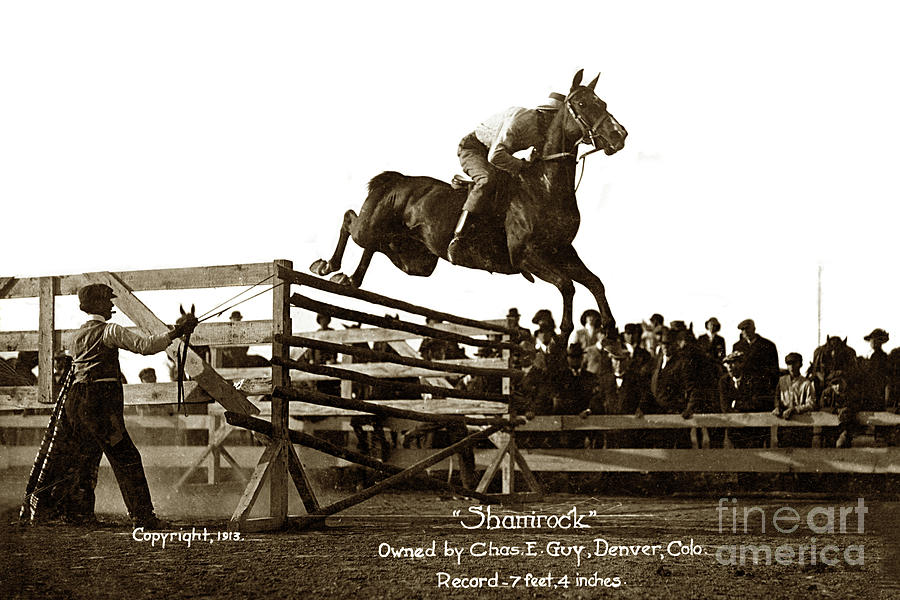 Shamrock high jump 7feet 4 inchsowned by Chas. E. Guy. Denver, by California Views Archives Mr Pat Hathaway Archives Shamrock high jump 7feet 4 inchsowned by Chas. E. Guy. Denver, by California Views Archives Mr Pat Hathaway Archives