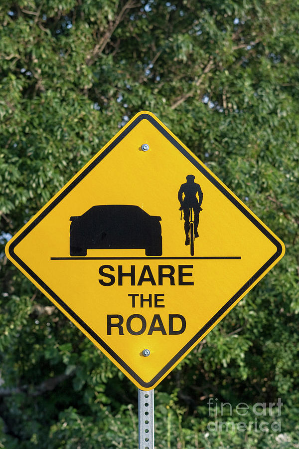 Share the road Photograph by Patricia Hofmeester