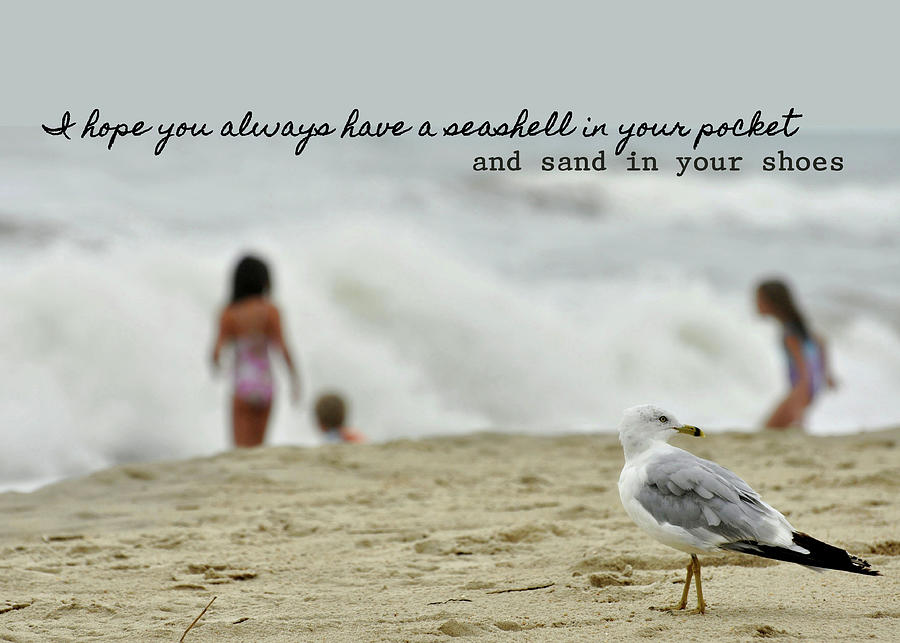 SHARING THE BEACH Quote Photograph By JAMART Photography - Fine Art America