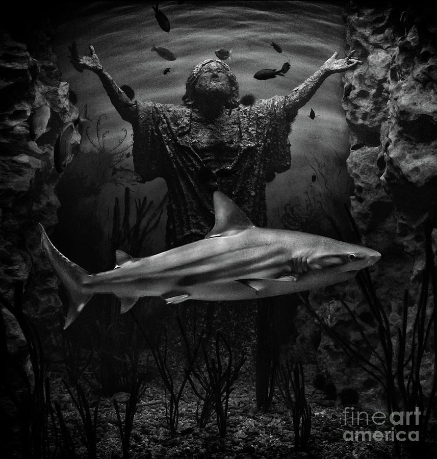 Shark passing by underwater statue by Stephan Grixti Shark passing by underwater statue by Stephan Grixti