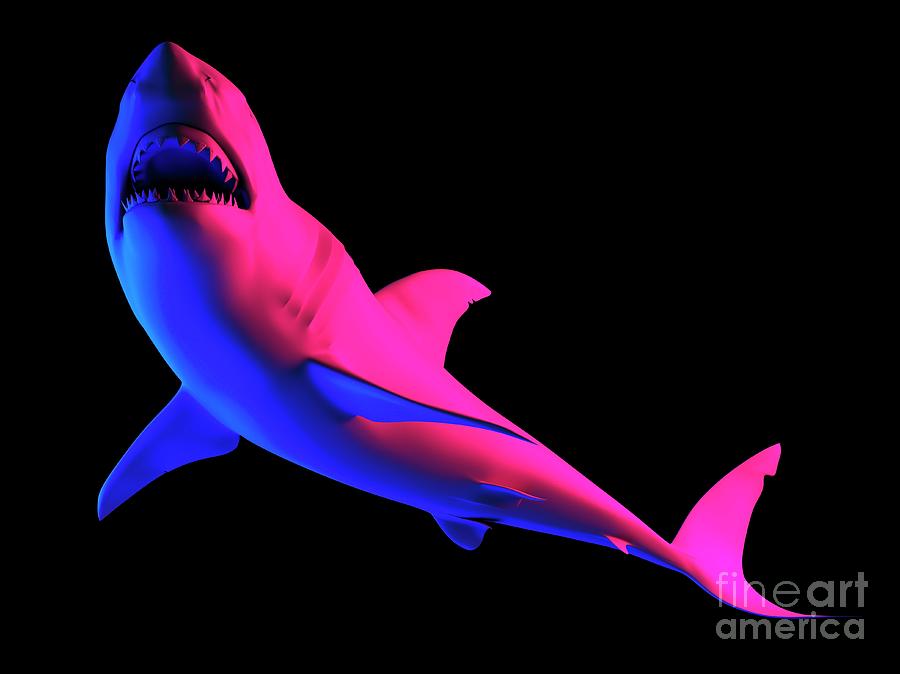 Shark Photograph by Sebastian Kaulitzki/science Photo Library