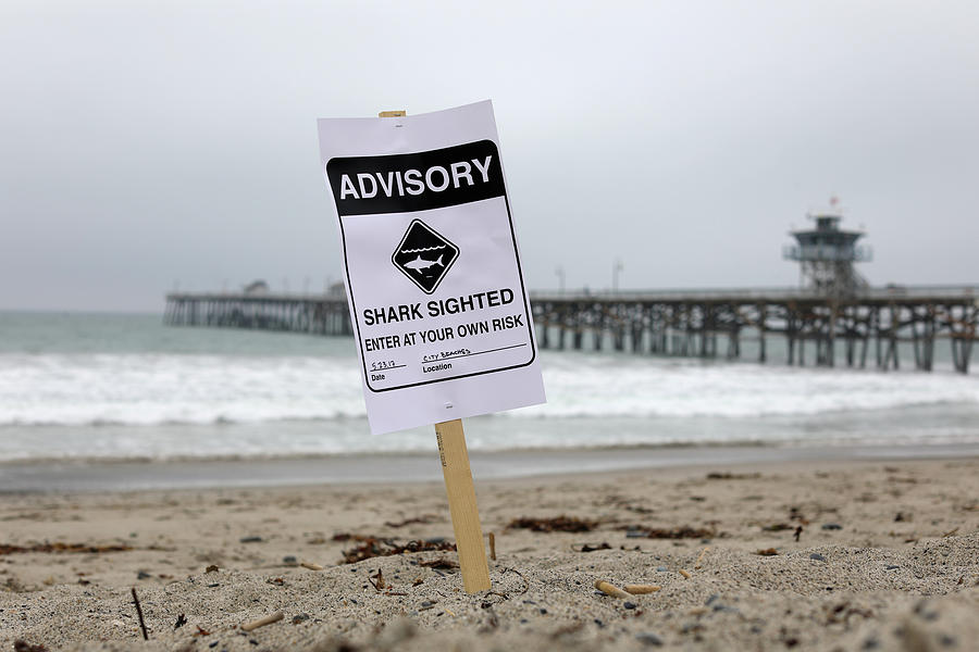 Shark Sighting Signs Warning Swimmers Photograph by Mike Blake - Fine ...