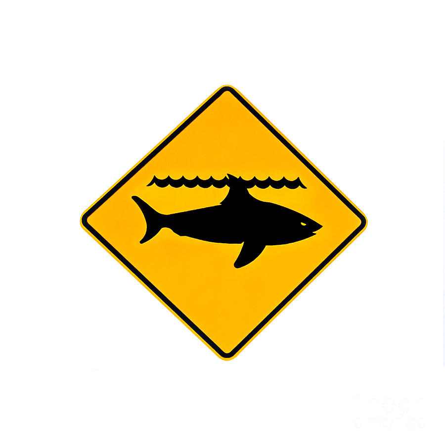 B GRADE Shark Warning Sign,12X18" Slight Imperfections SOLD AS IS 