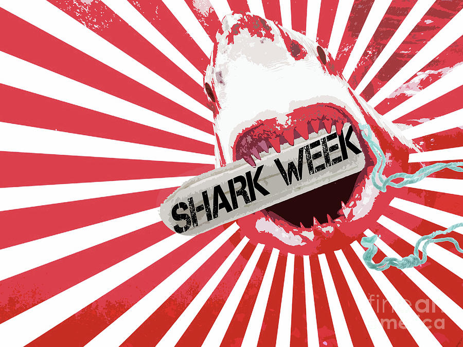 Shark Week Digital Art by Marissa Maheras