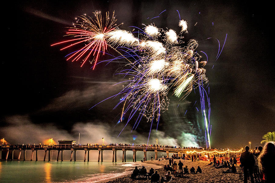 Sharky's Beach Bash Photograph by Lisa Harris - Fine Art America